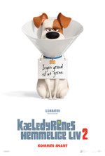 Film Plakat